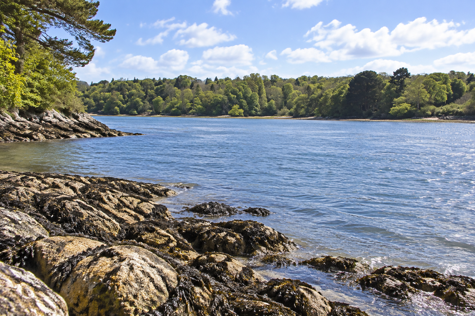 Illustration générée par IA : paysage littoral et rivière